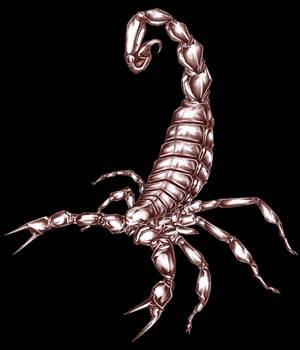 SCORPION